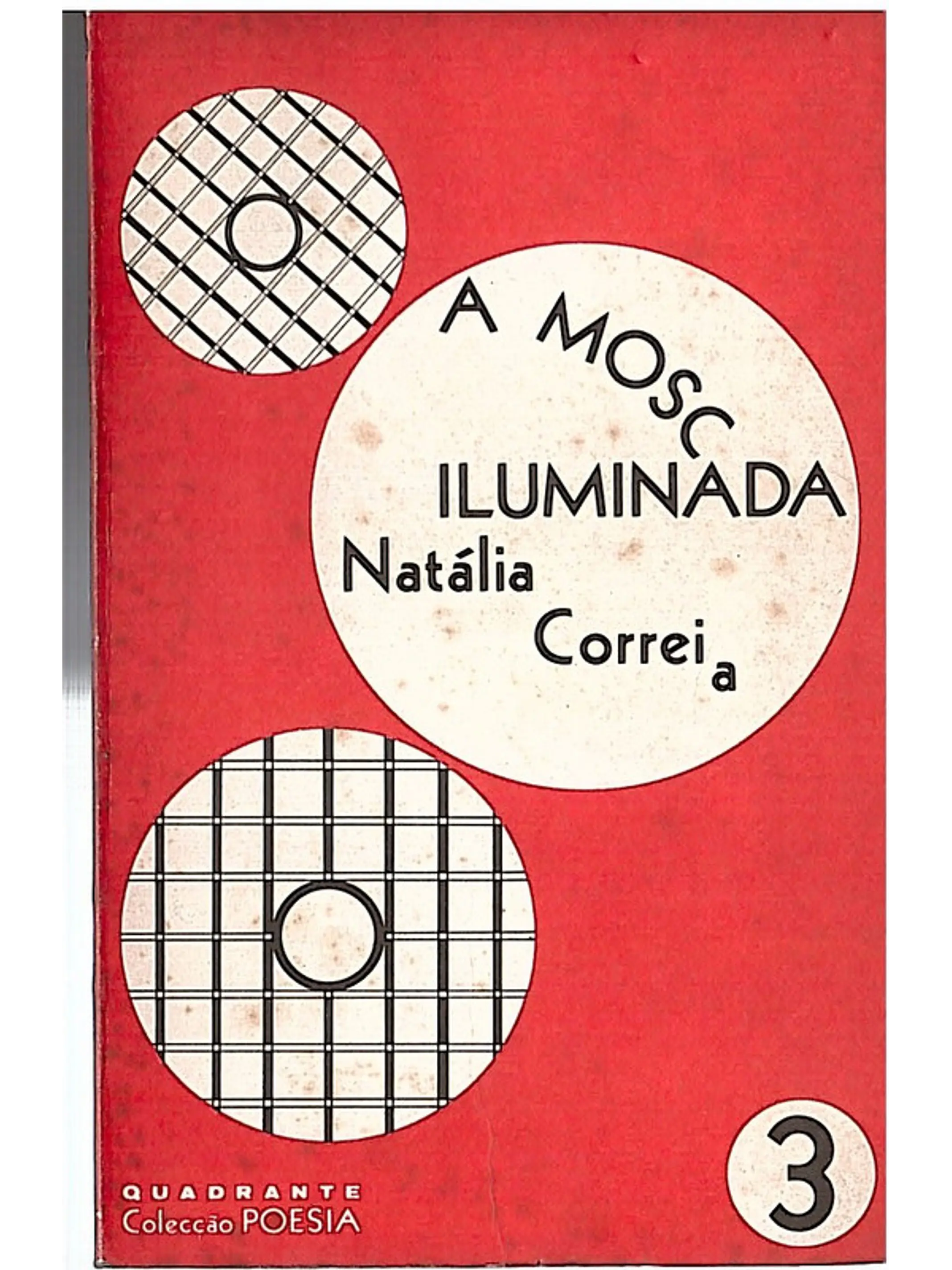 A mosca iluminada 1