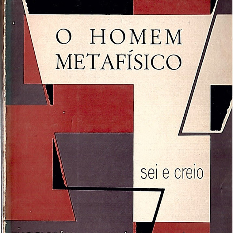 O homem metafísico 1