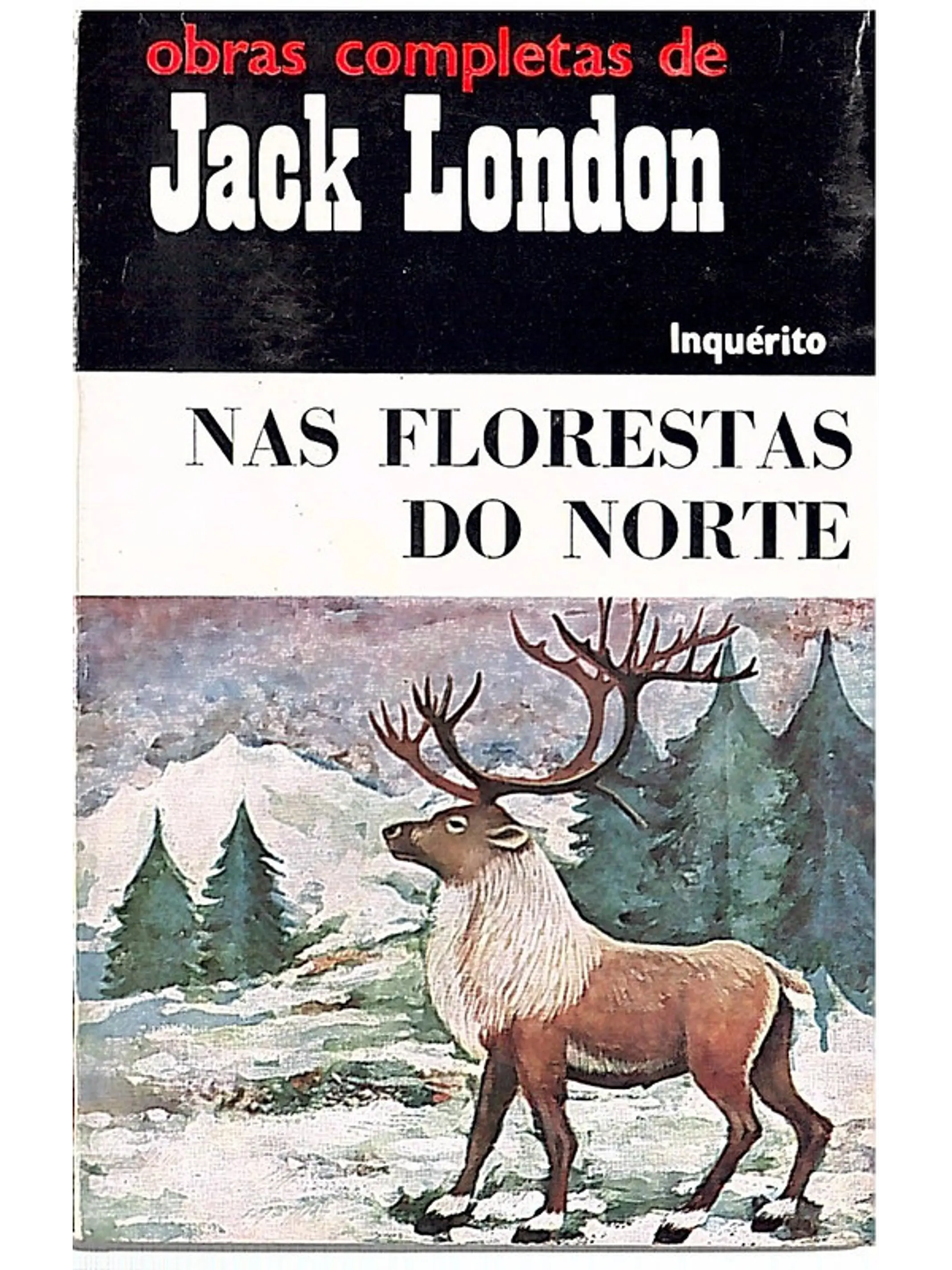 Nas florestas do norte 1