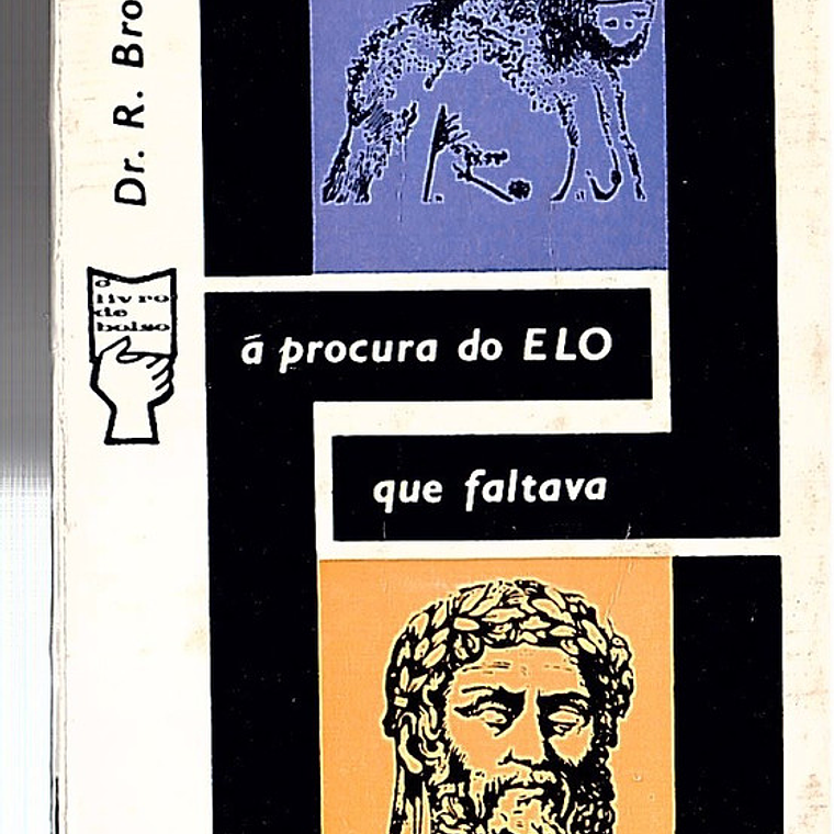 Á procura do elo que faltava 1