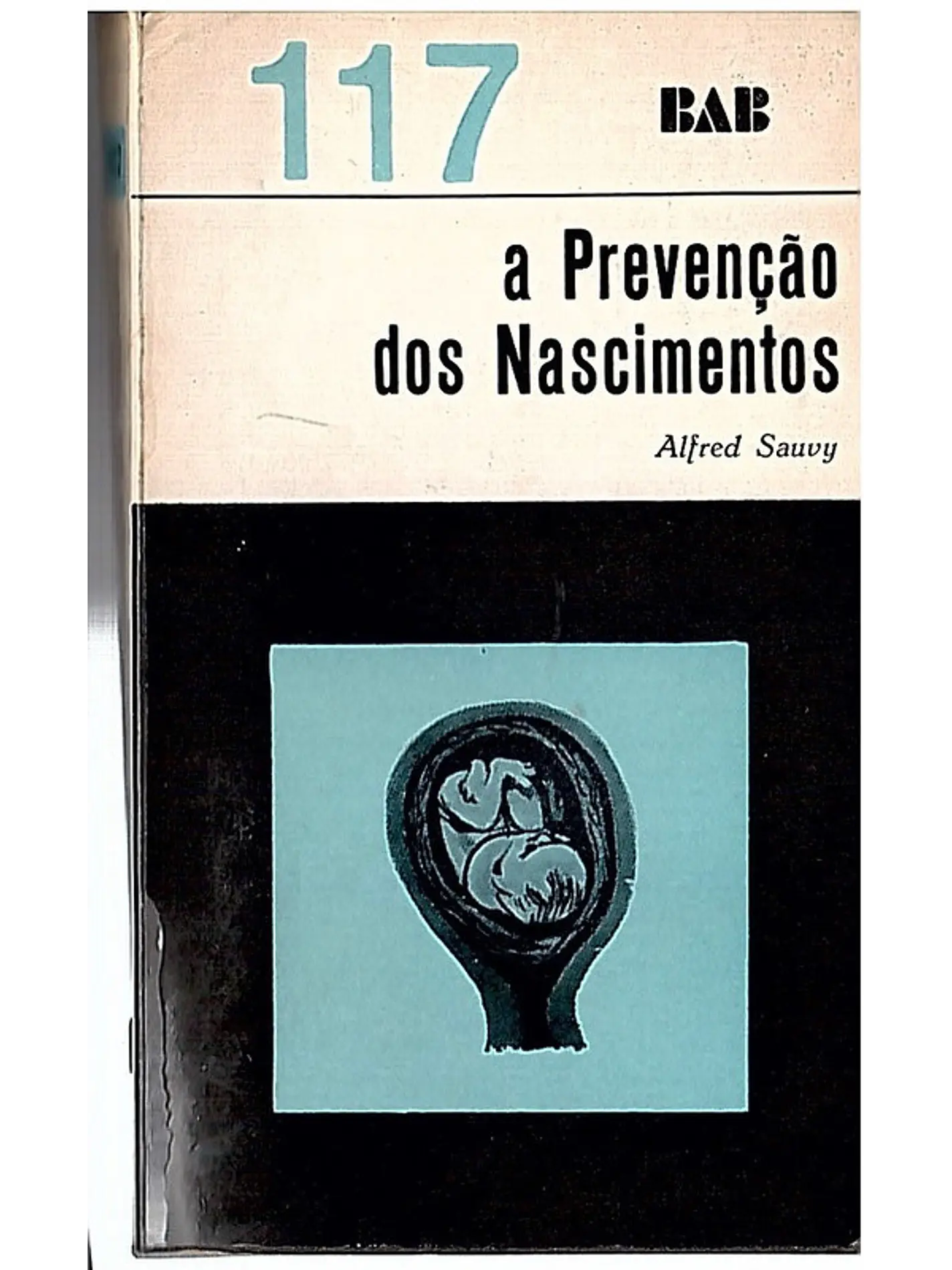 A prevenção dos nascimentos 1