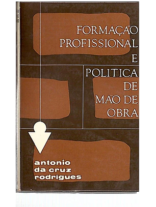 Formação profissional e politica de mão de obra
