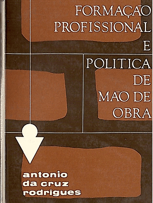 Formação profissional e politica de mão de obra