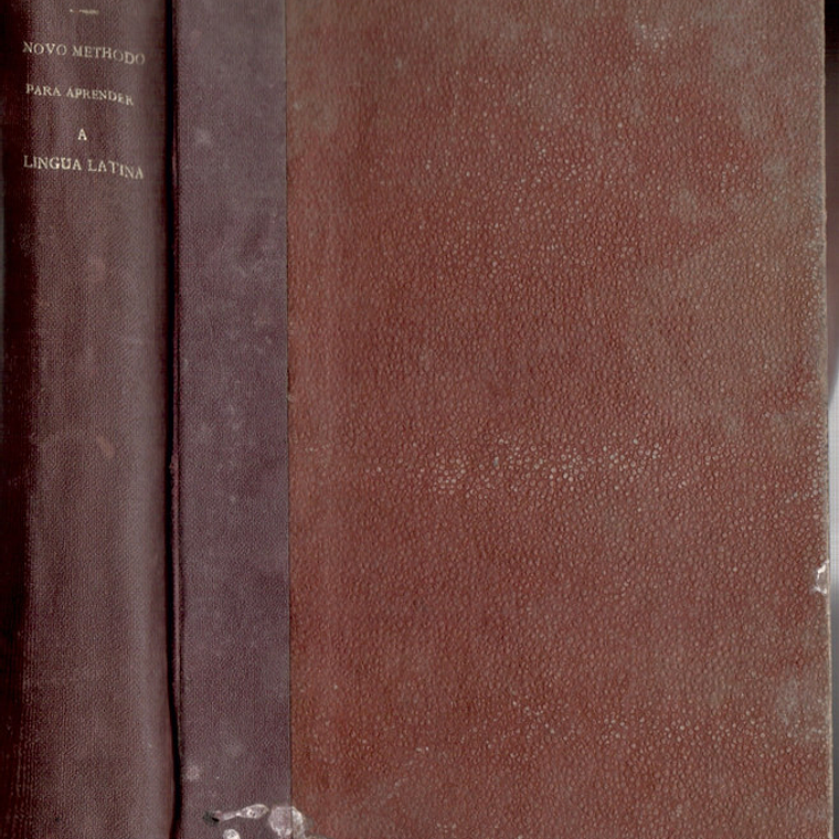 Novo método para aprender a língua Latina 1