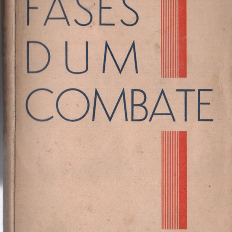 Fases de um combate 1