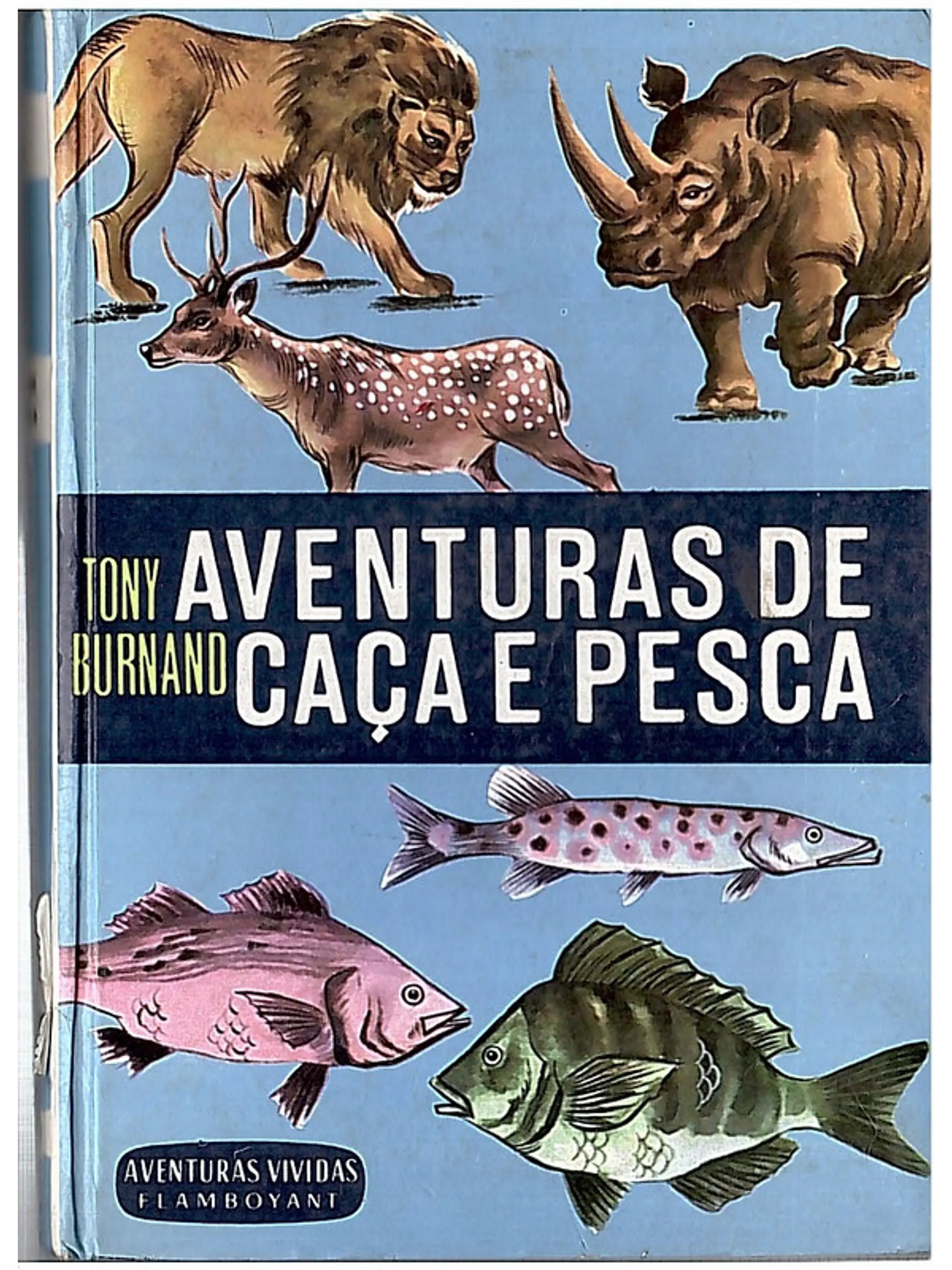 Aventuras de caça e pesca 1