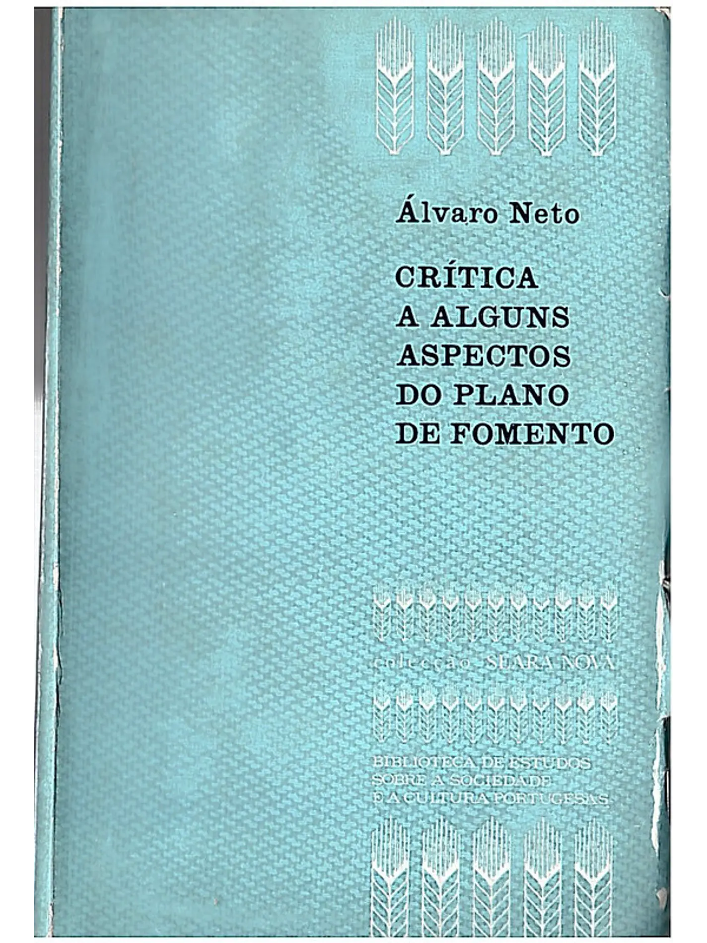 Critica a alguns aspectos do plano de fomento 1