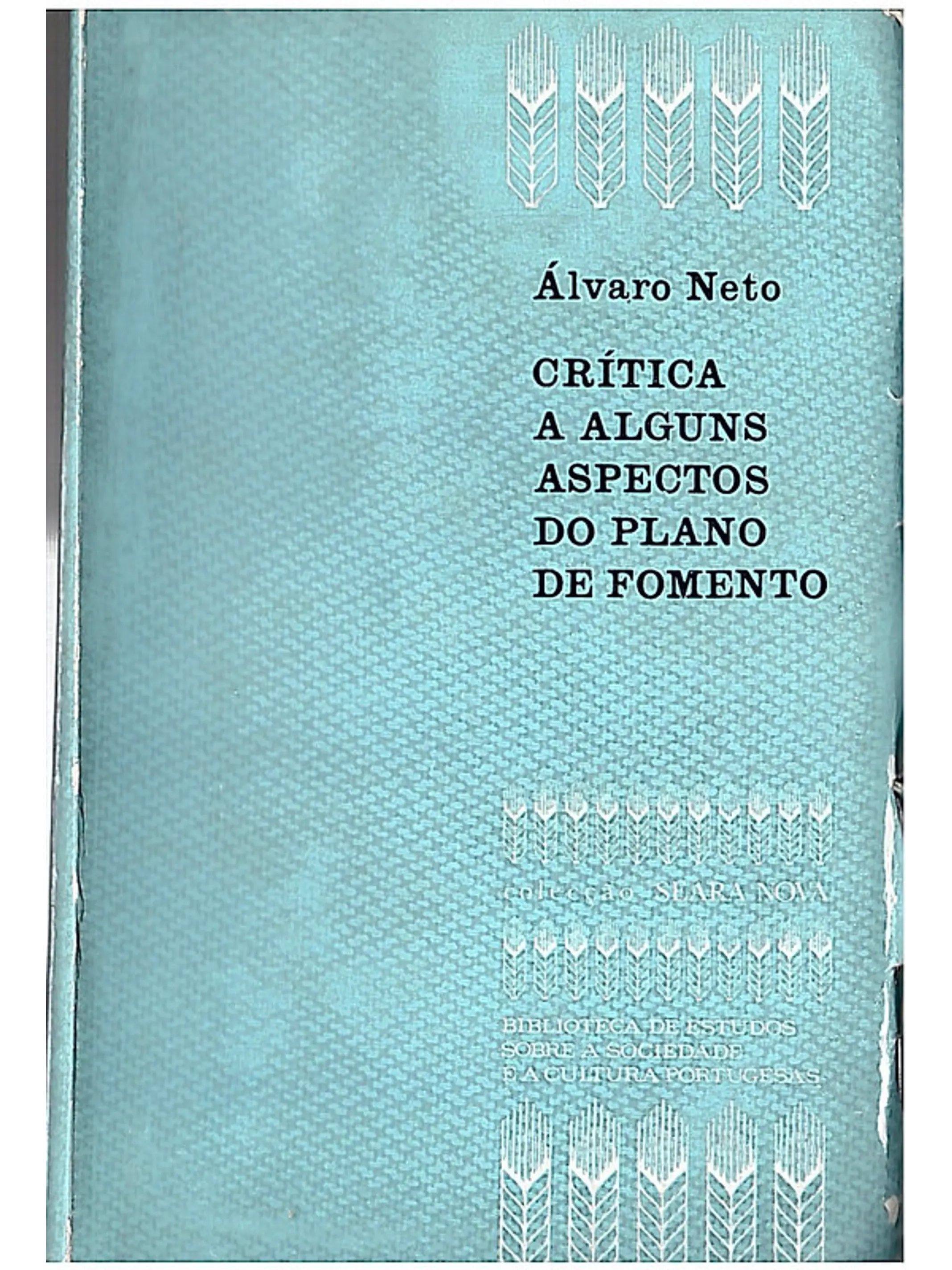 Critica a alguns aspectos do plano de fomento 1