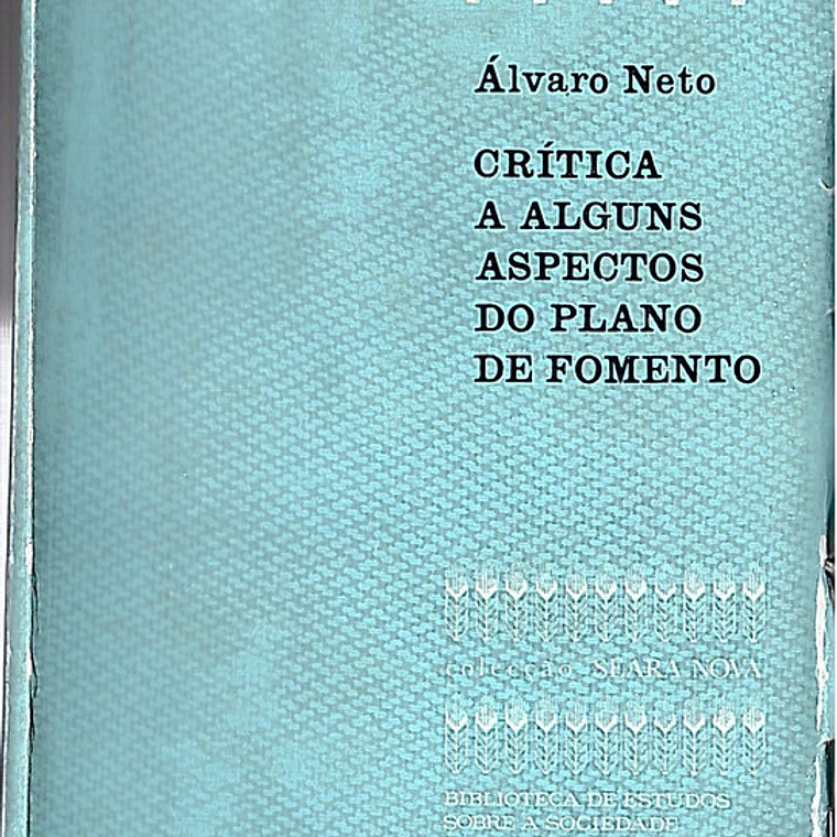 Critica a alguns aspectos do plano de fomento 1