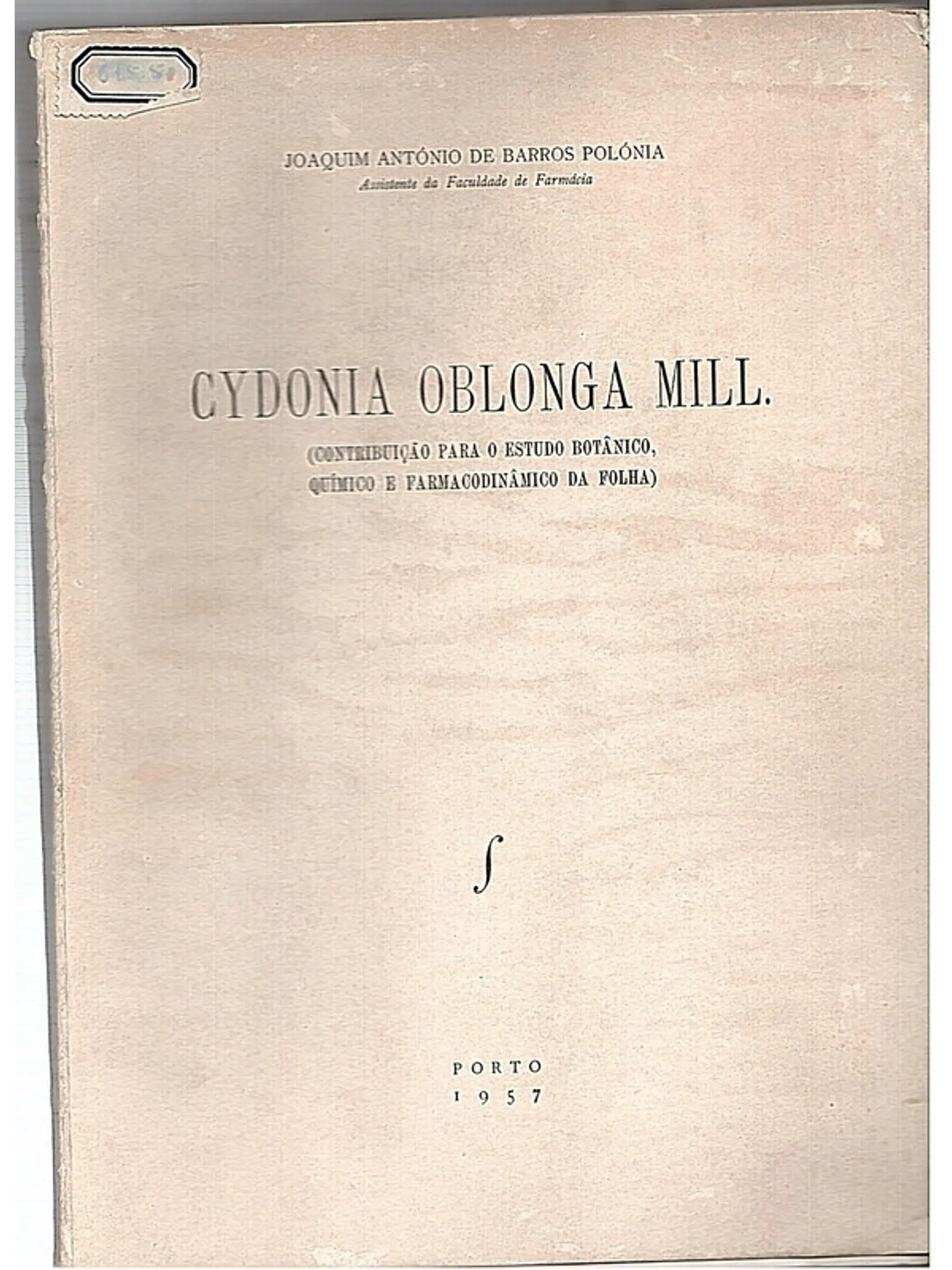 Cydonia Oblonga MilI 1