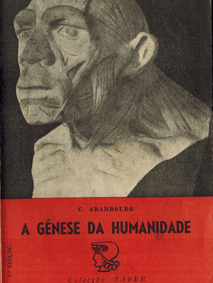 A génese da humanidade