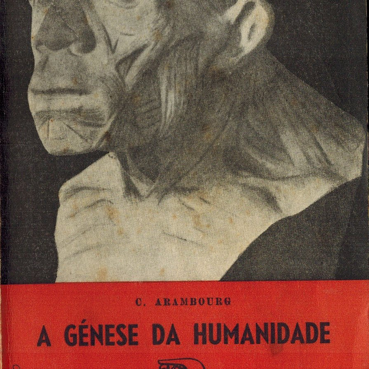 A génese da humanidade 1