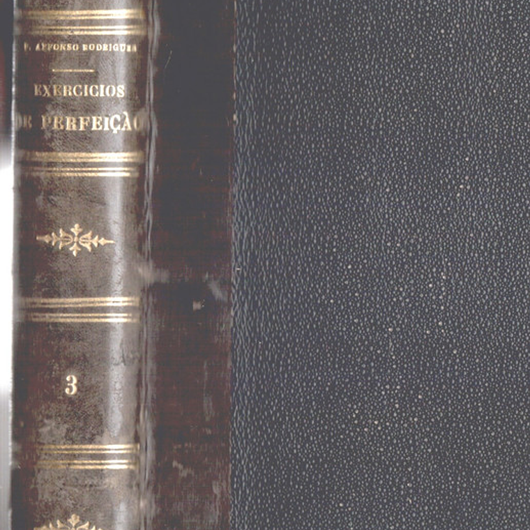 Exercícios de perfeição e virtudes cristãs Volume 3 1