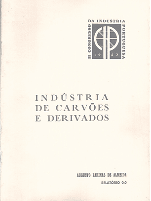 Indústria de carvões e derivados