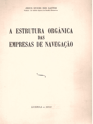 A estrutura orgânica das empresas de navegação