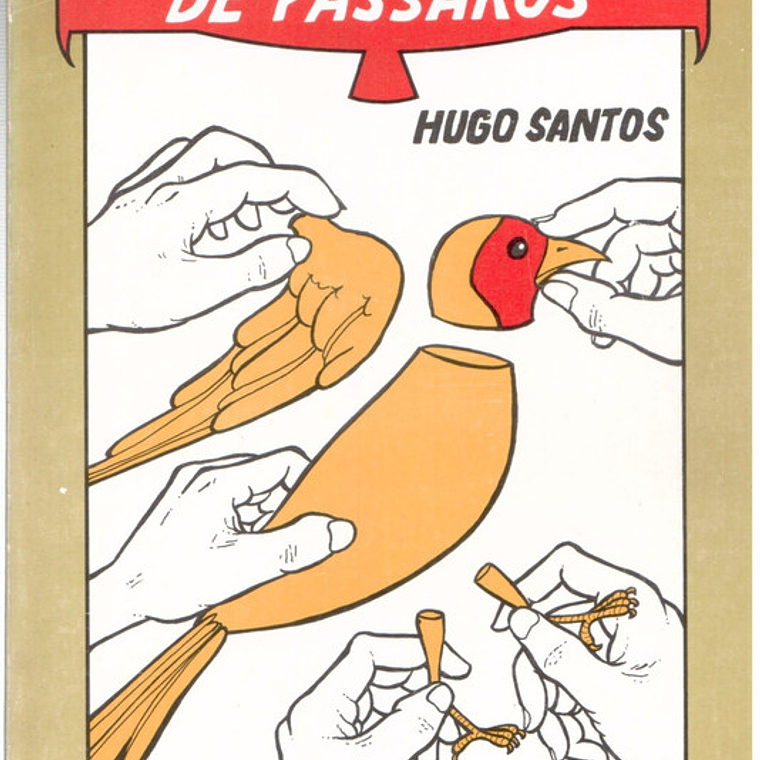 Construtor de pássaros 1