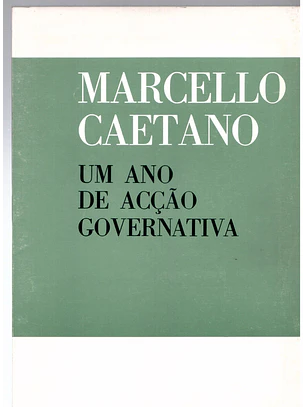 Um ano de ação governativa