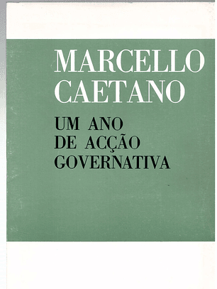 Um ano de ação governativa