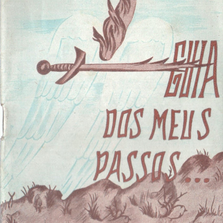 Guia dos meus passos 1