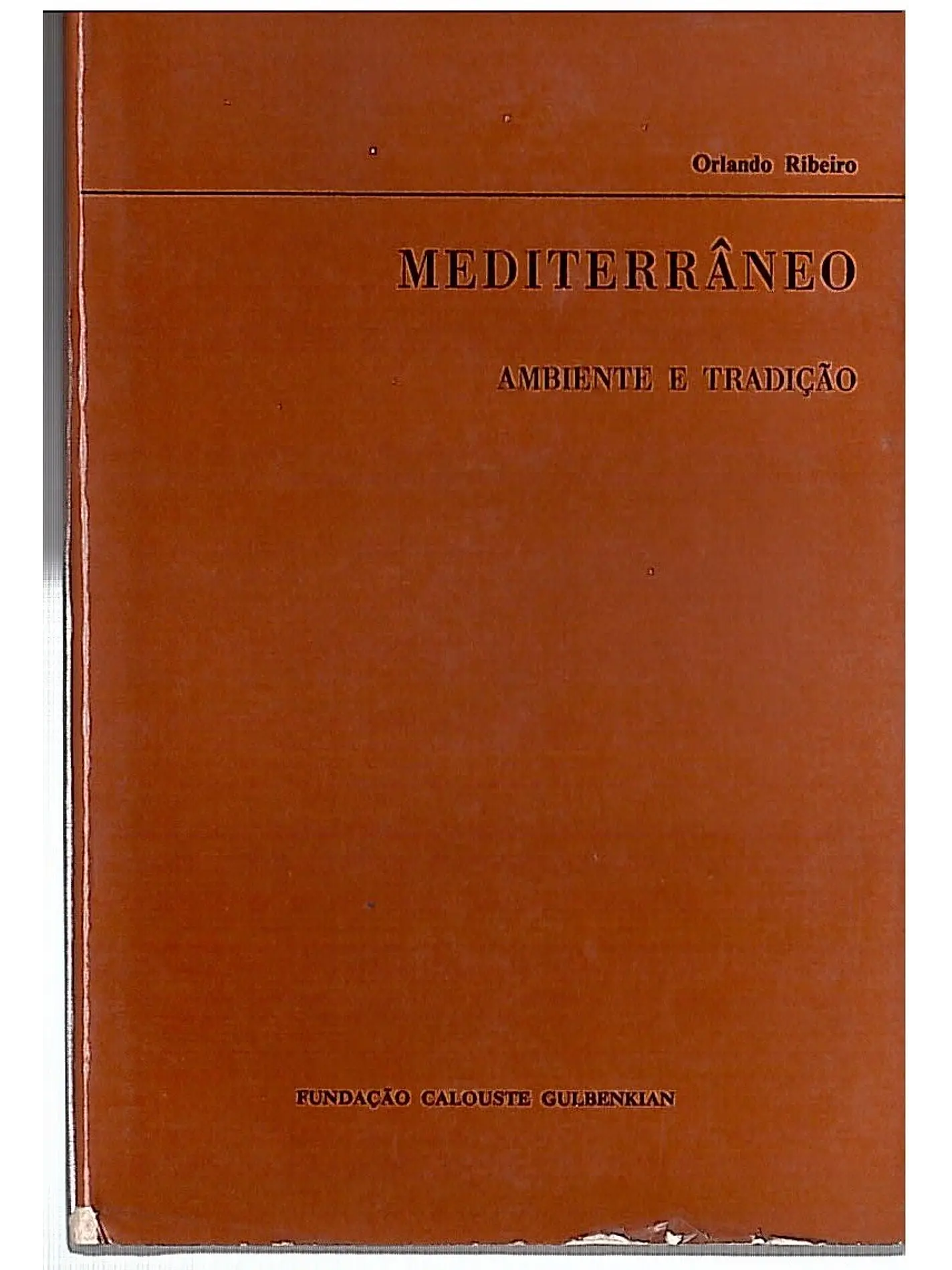 Mediterrâneo - ambiente e tradição 1
