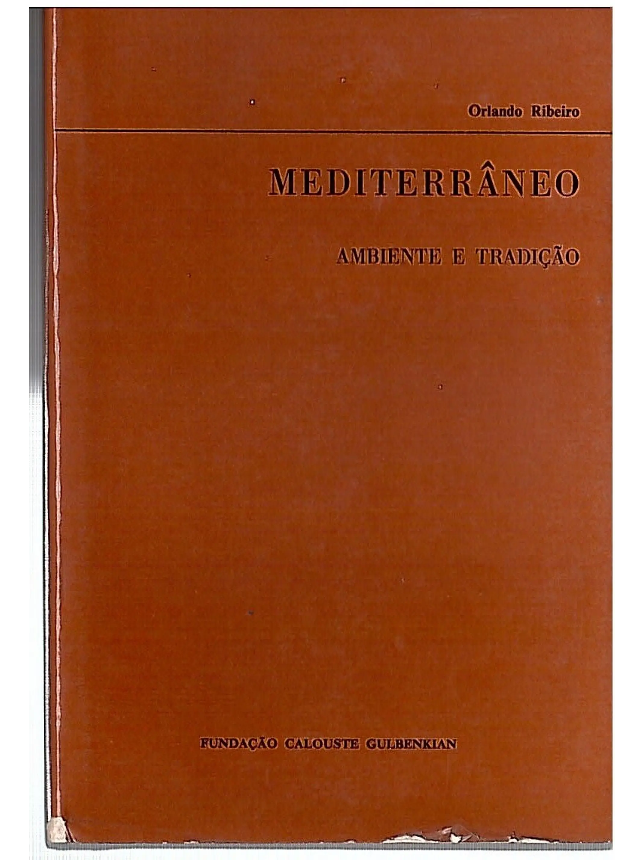 Mediterrâneo - ambiente e tradição 1