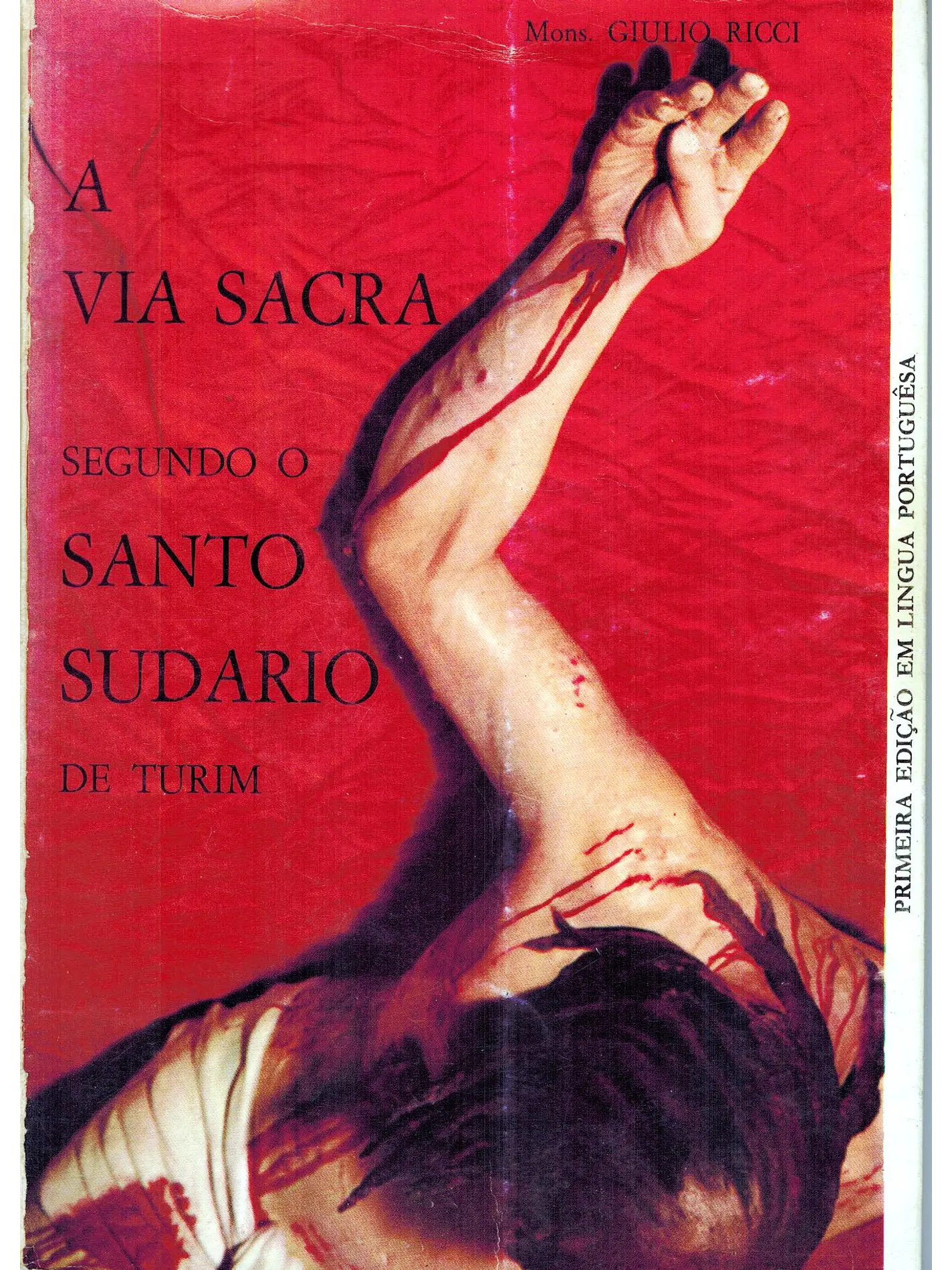 A via sacra segundo o santo sudário de Turim 1