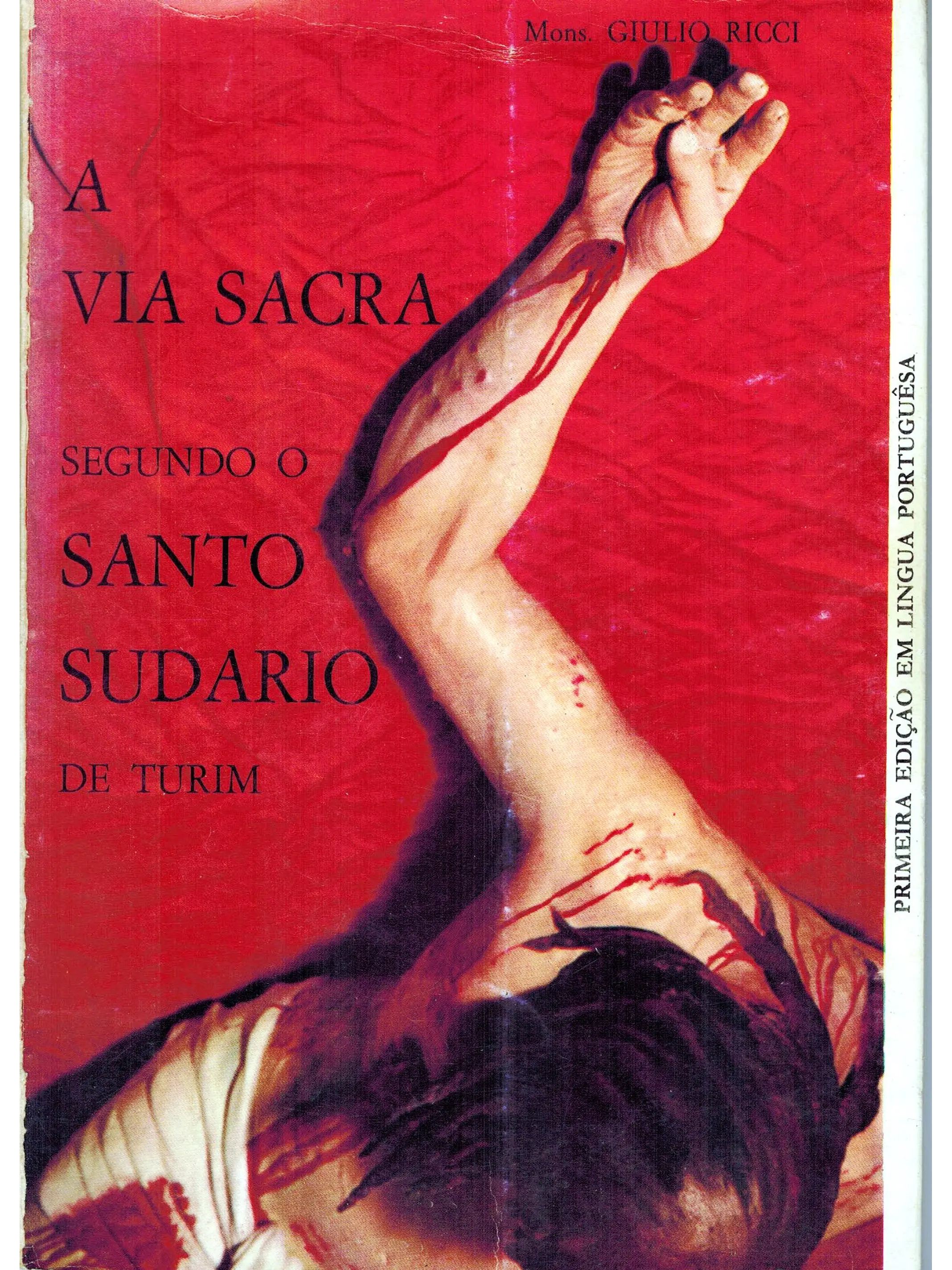 A via sacra segundo o santo sudário de Turim 1