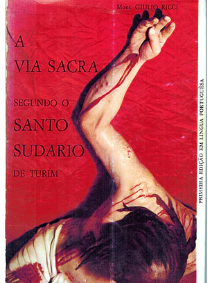 A via sacra segundo o santo sudário de Turim