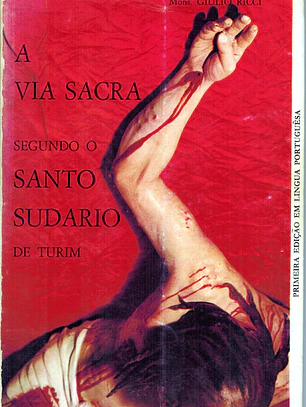 A via sacra segundo o santo sudário de Turim