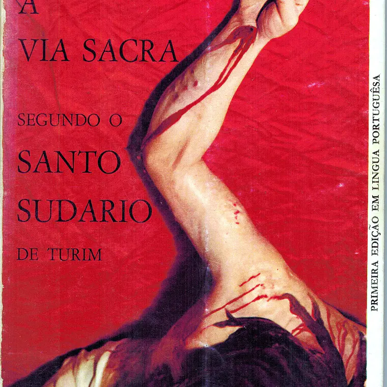 A via sacra segundo o santo sudário de Turim 1