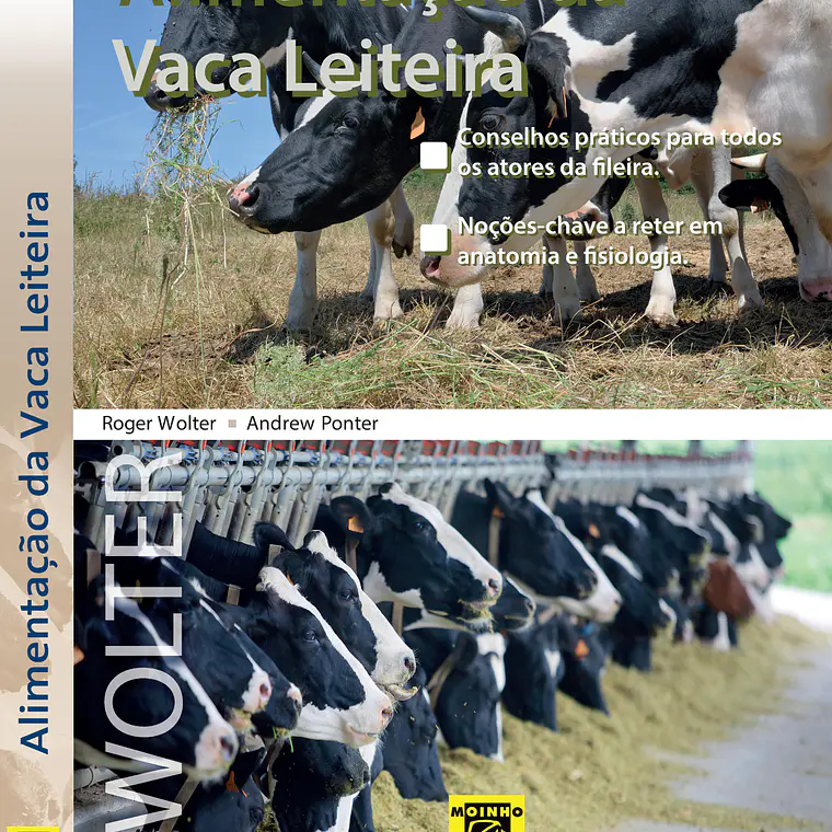 Alimentação da vaca leiteira 1