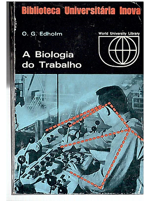 A boa Terra 