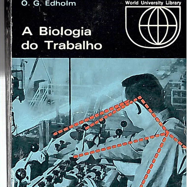 A BOA TERRA 1