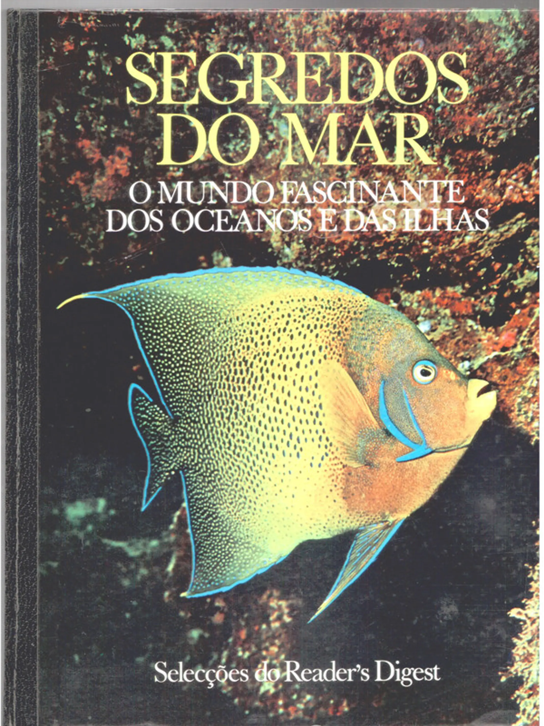 Segredos do mar o mundo fascinante dos oceanos e das ilhas 1