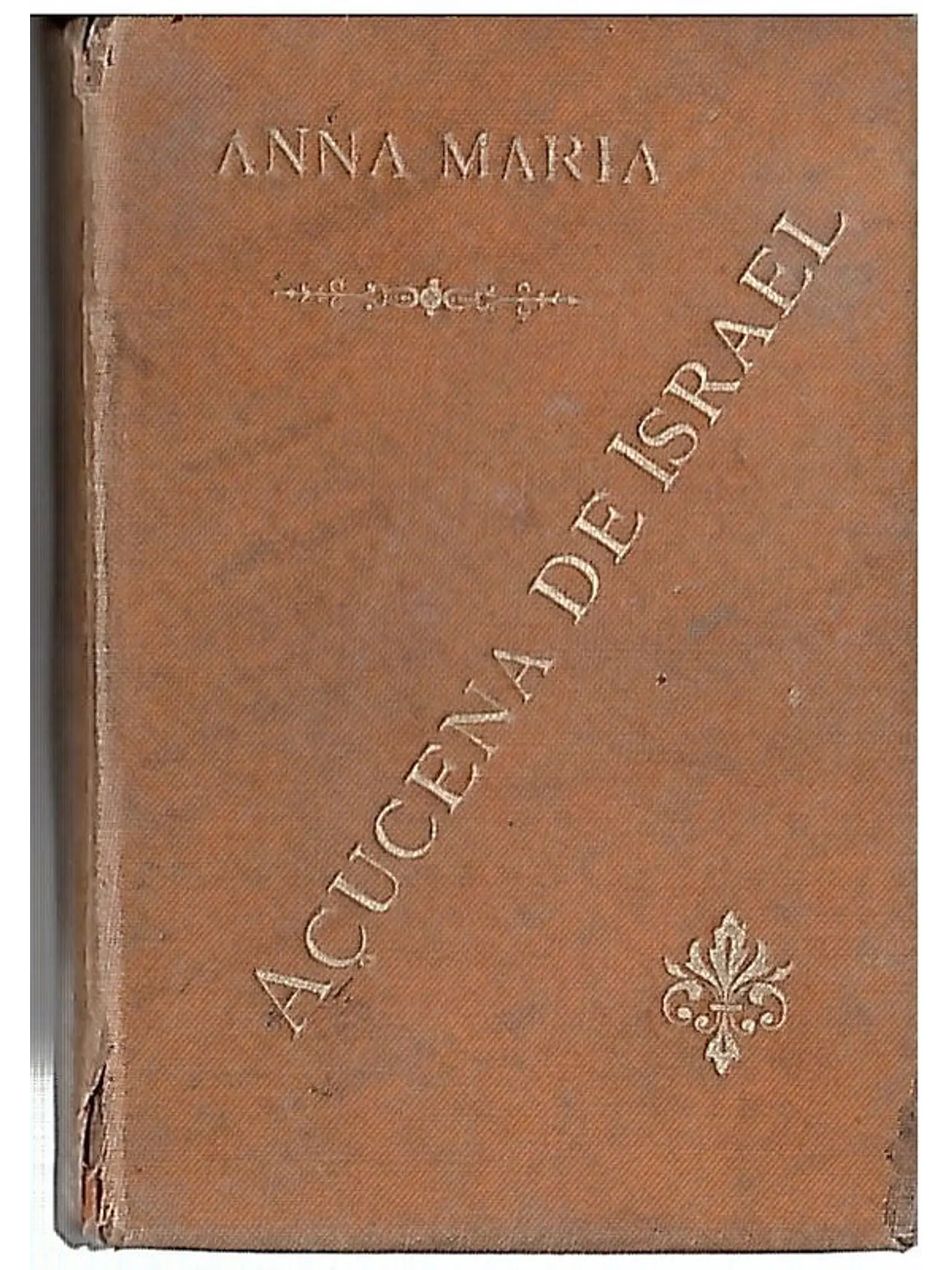 Açucena de Israel 1