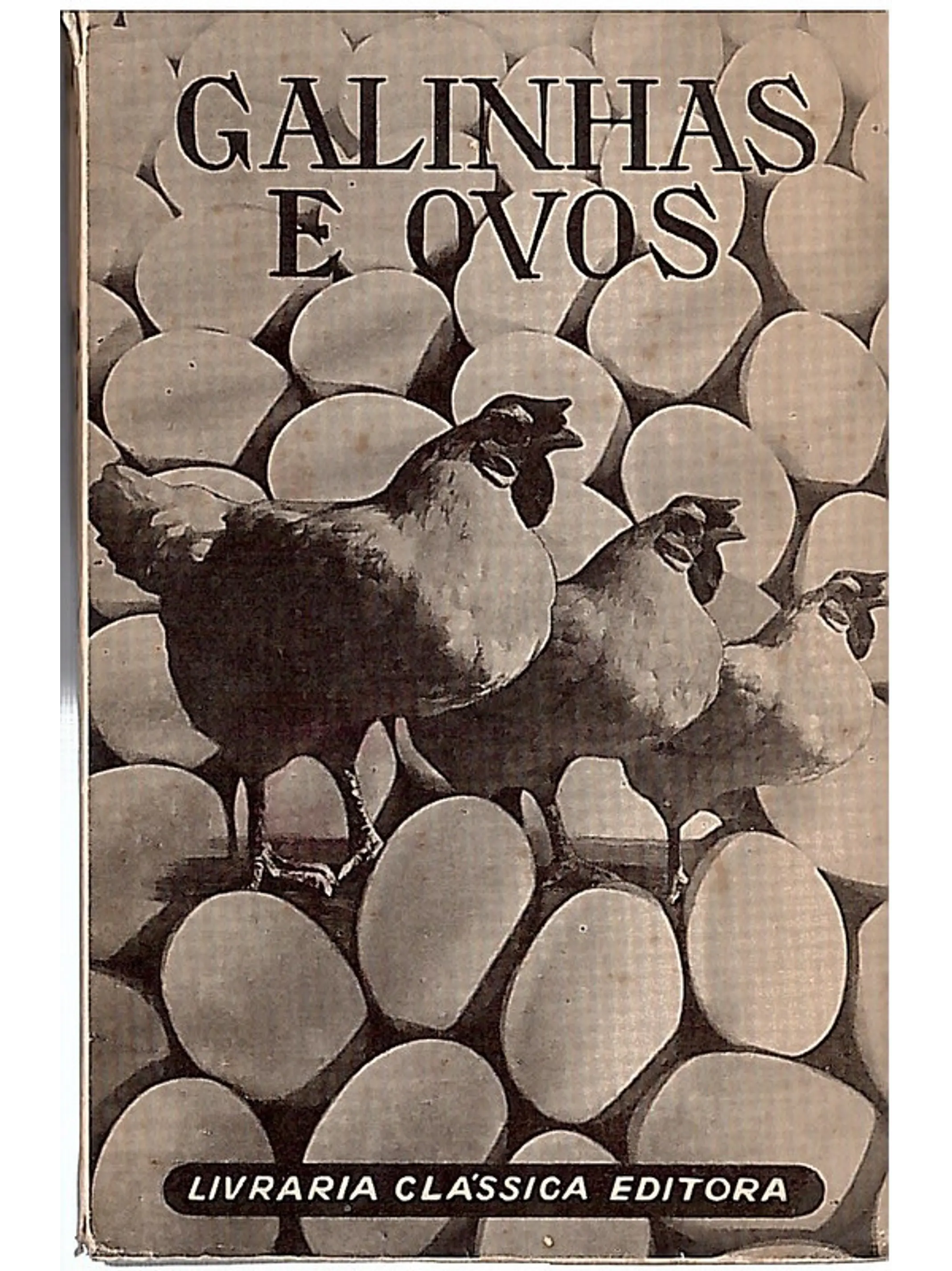 Galinhas e ovos 1