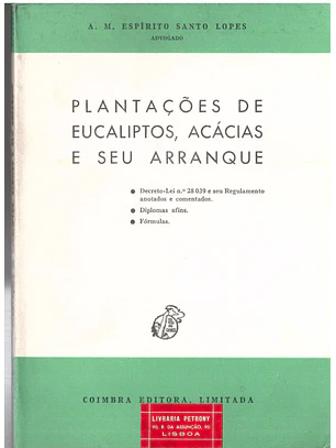 Plantações de eucaliptos Acácias e seu arranque