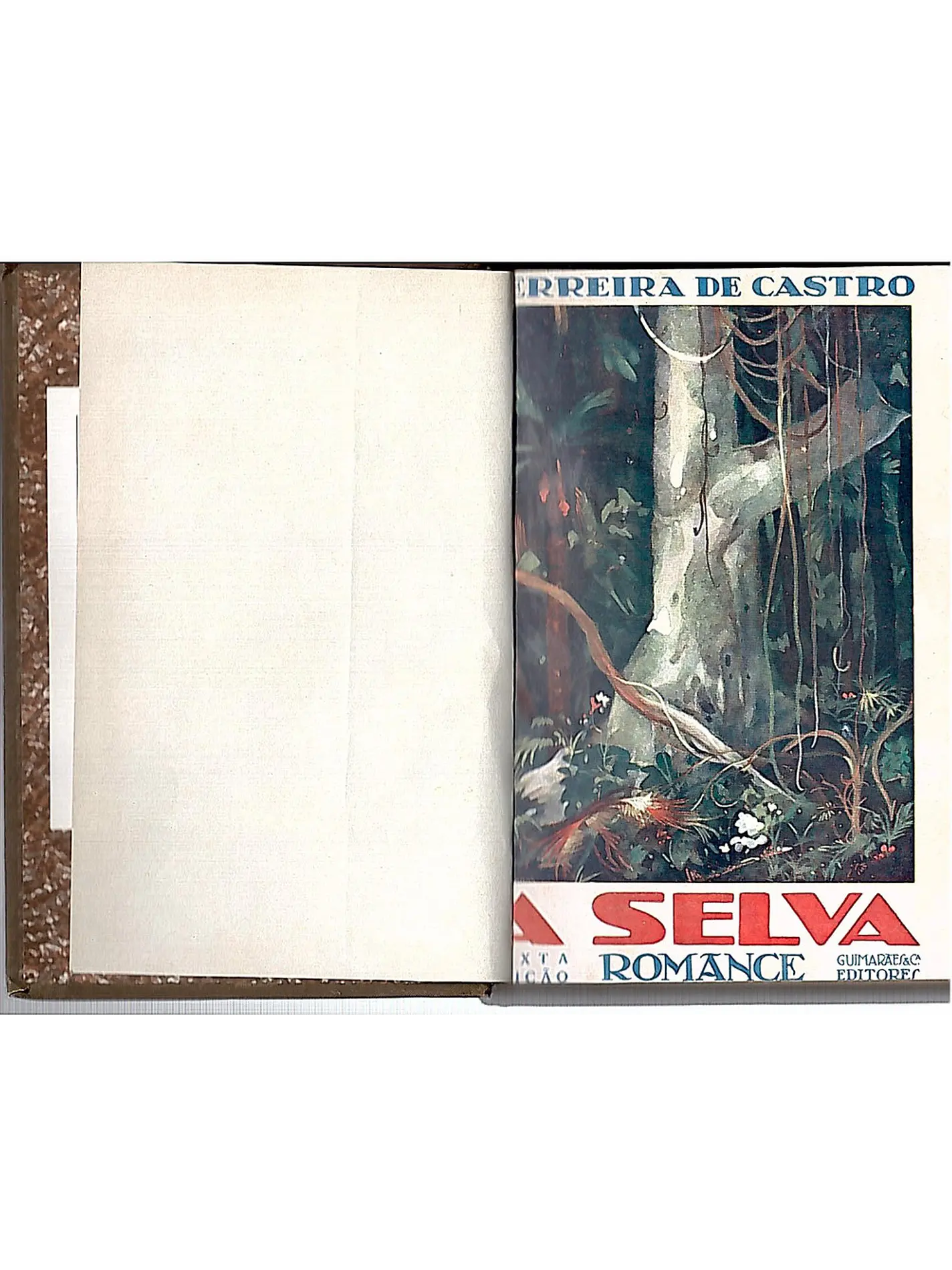 A selva 1