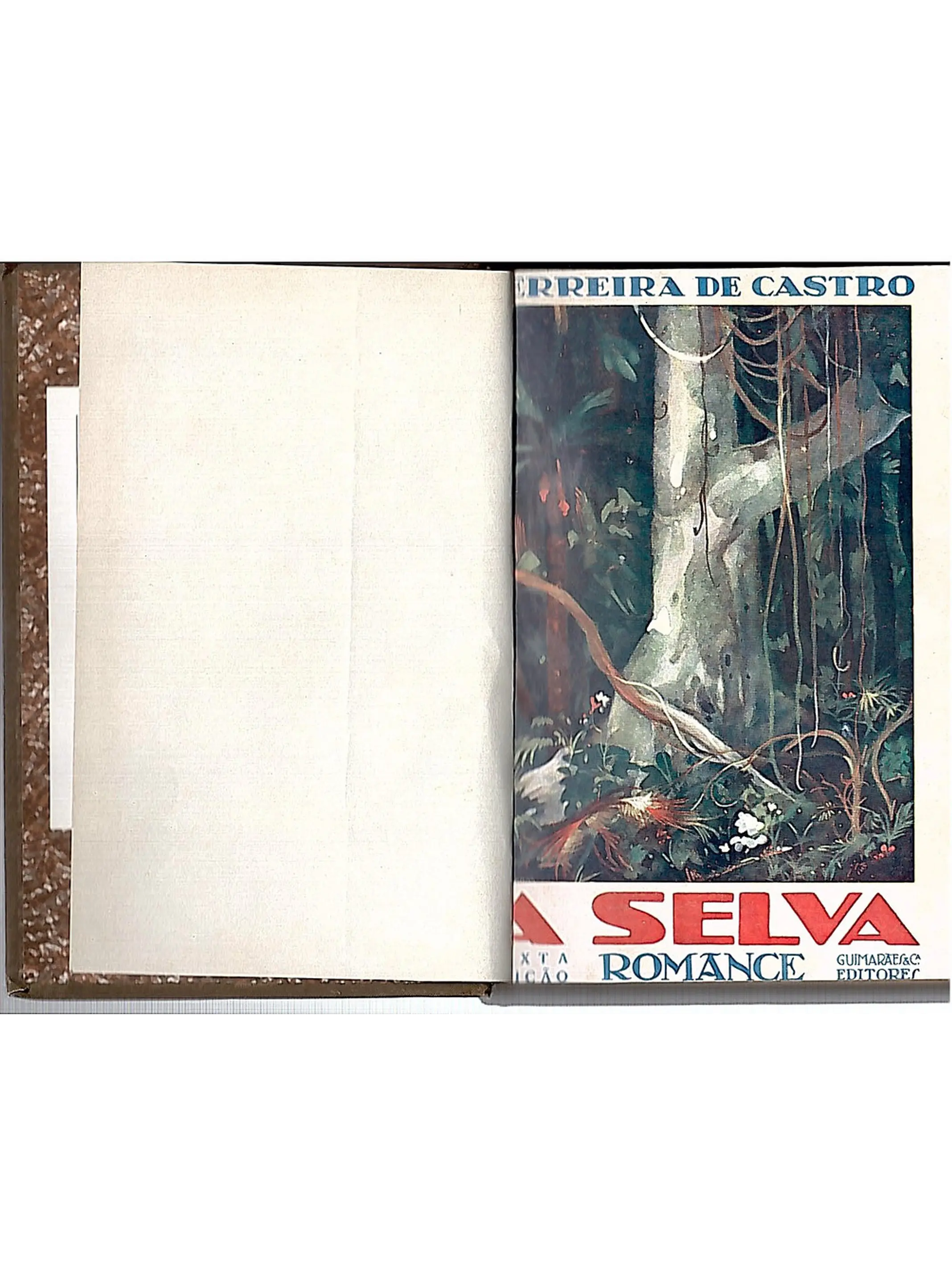 A selva 1