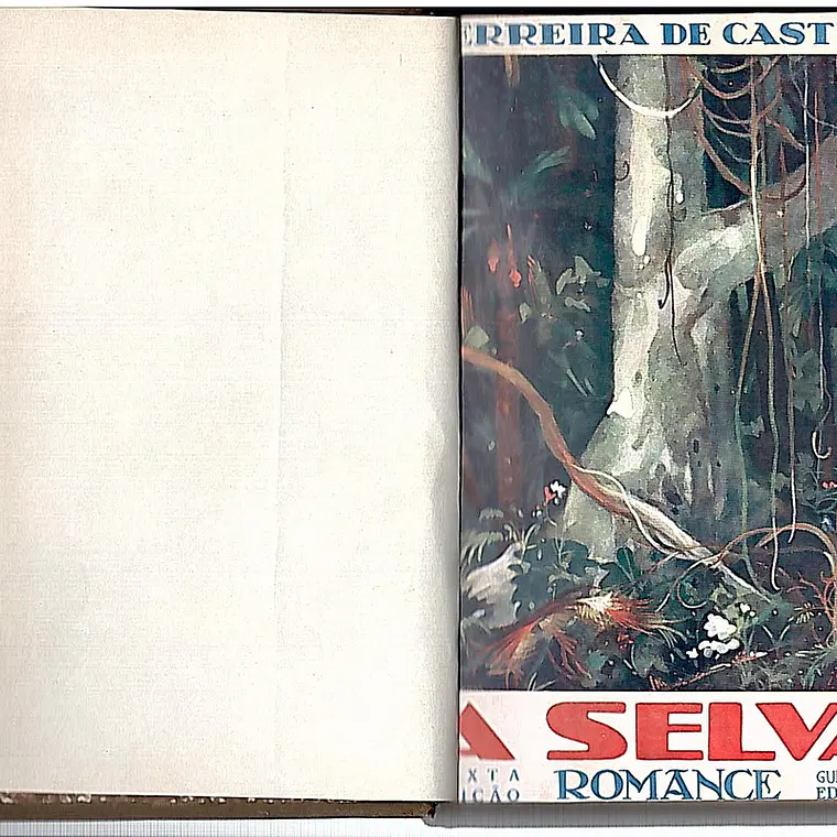 A selva 1