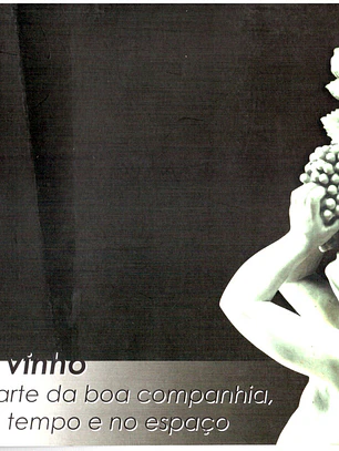 O vinho a arte da boa companhia no tempo e no espaço