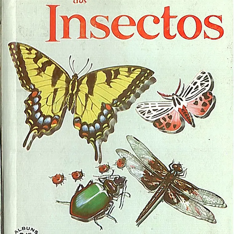 O álbum maravilhoso dos insectos 1