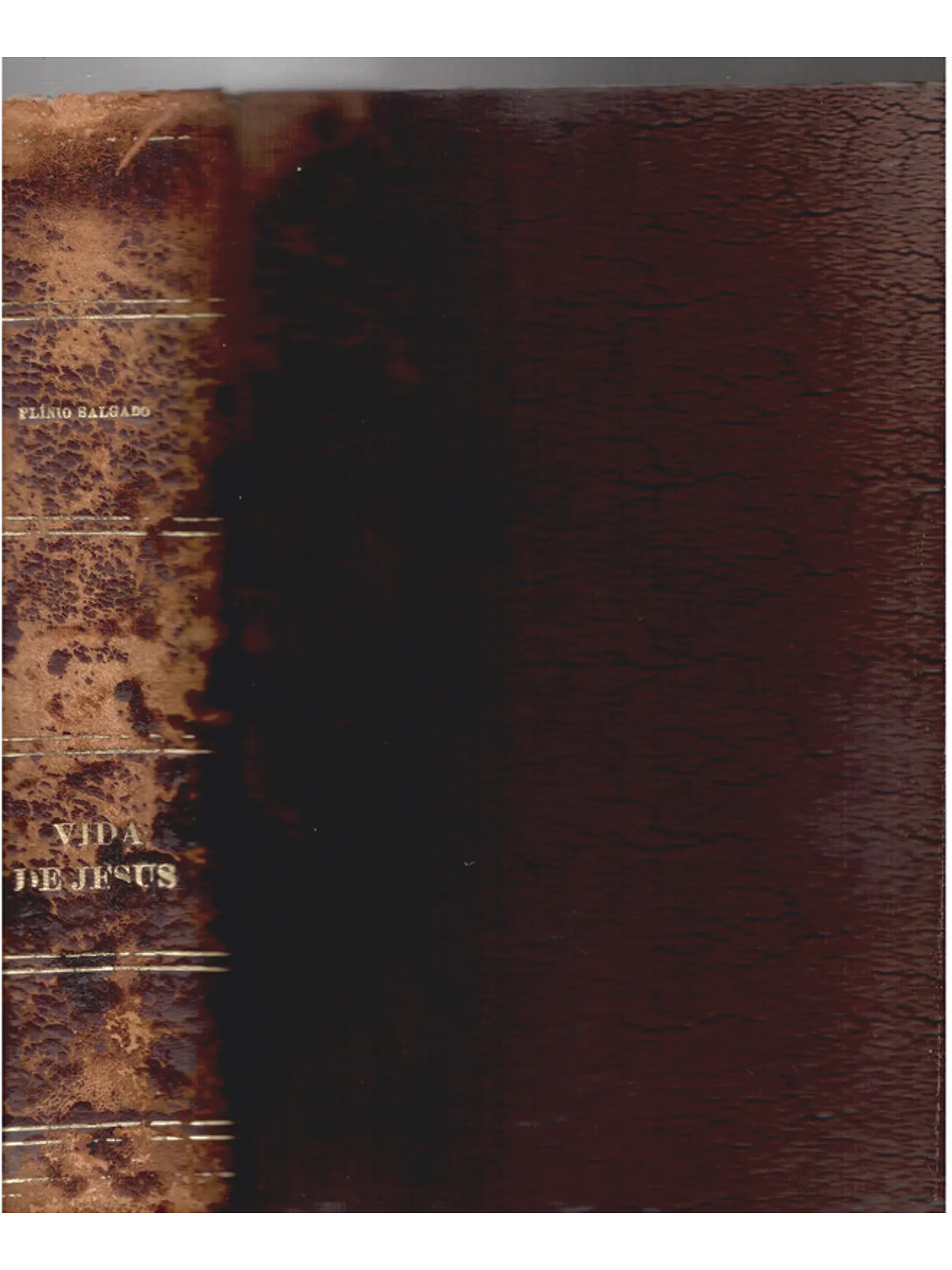 Vida de Jesus 1