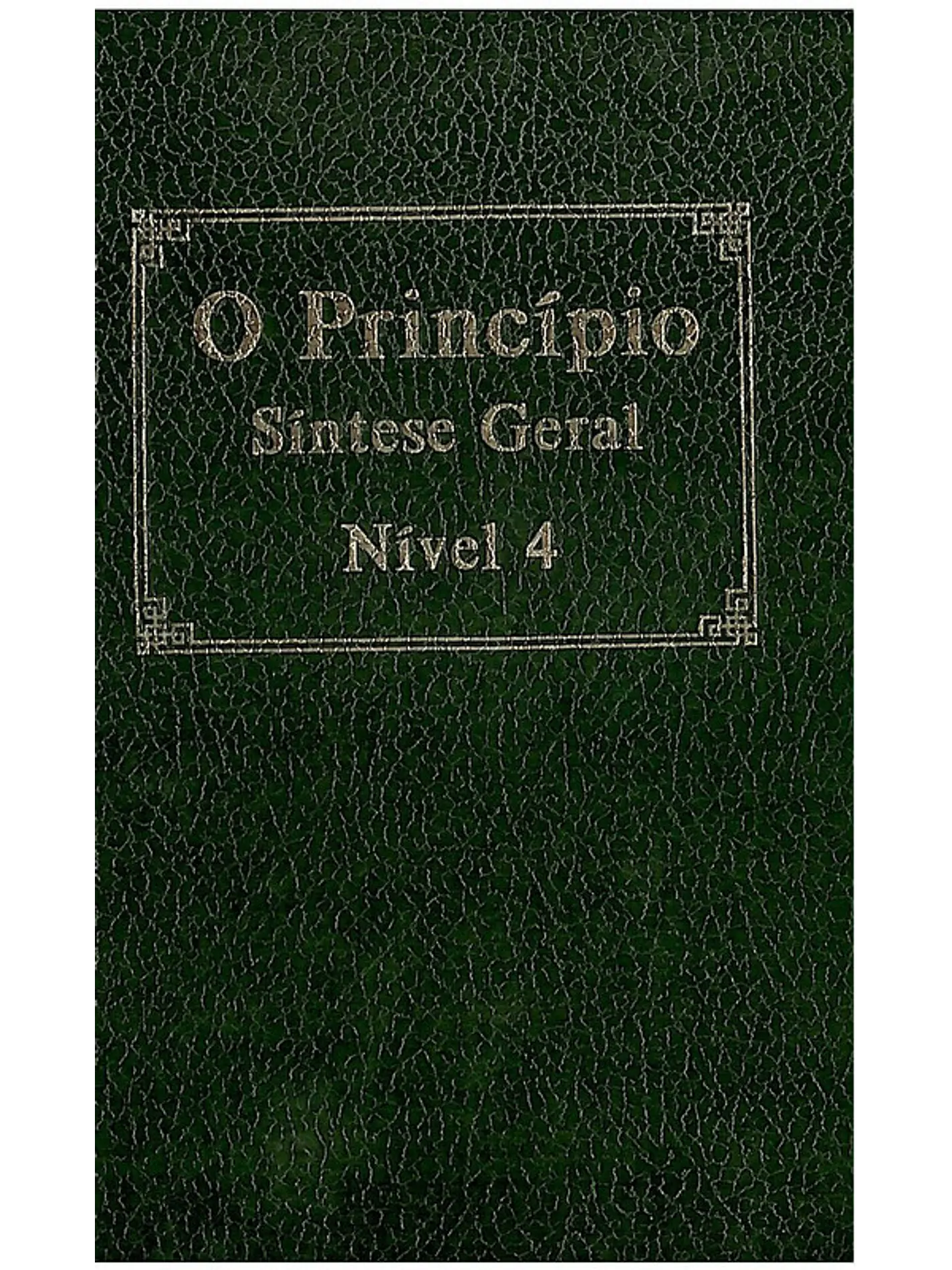 O principio síntese geral 1