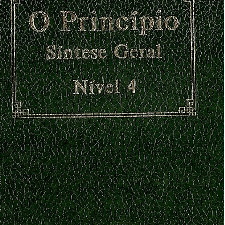O principio síntese geral 1