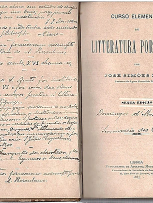 Curso elementar de litteratura portugueza