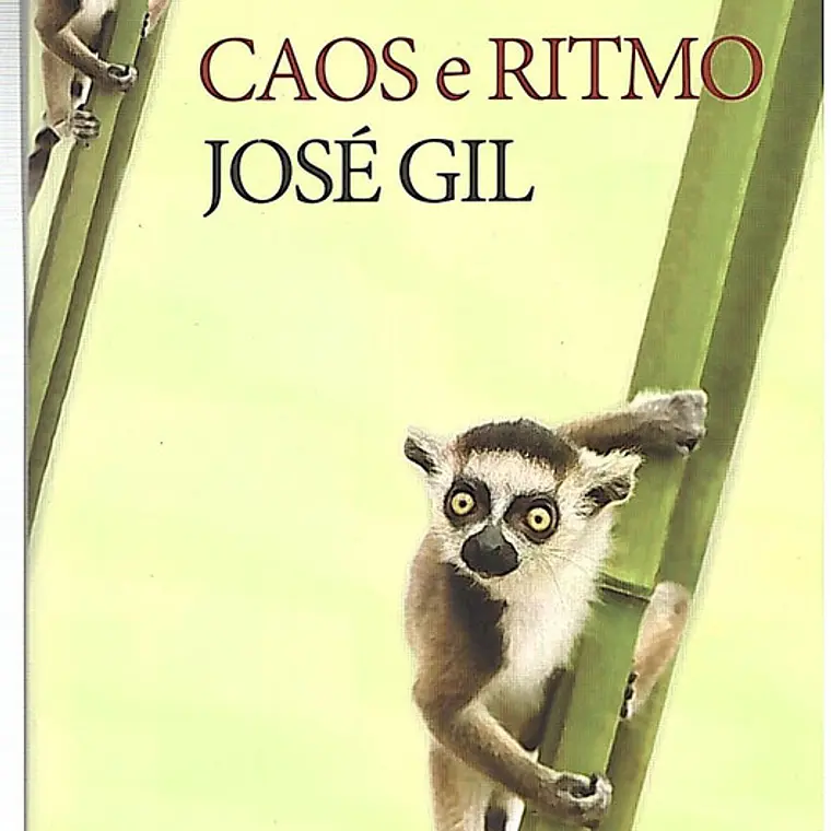 Caos e ritmo 1
