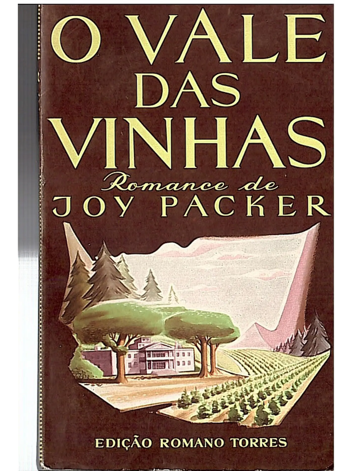 O vale das vinhas 1