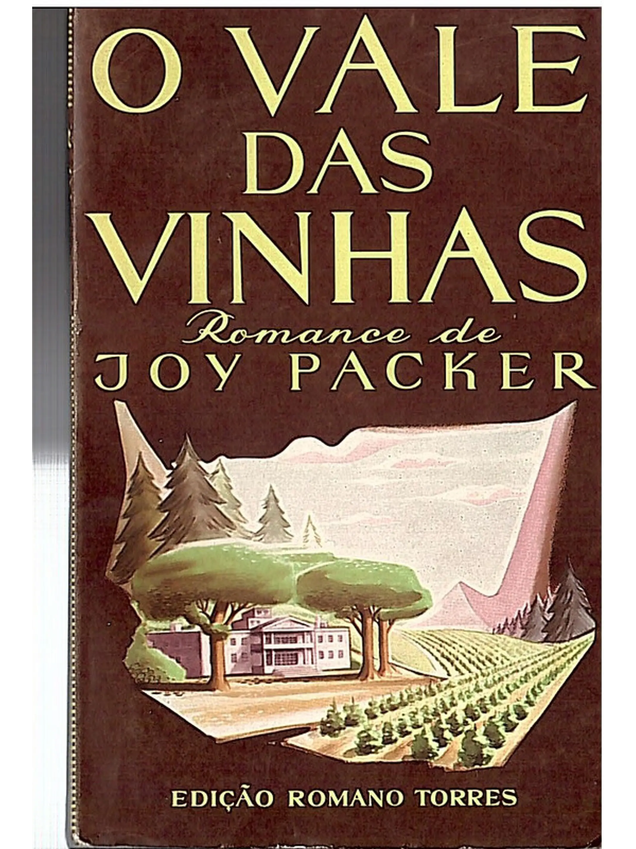 O vale das vinhas 1