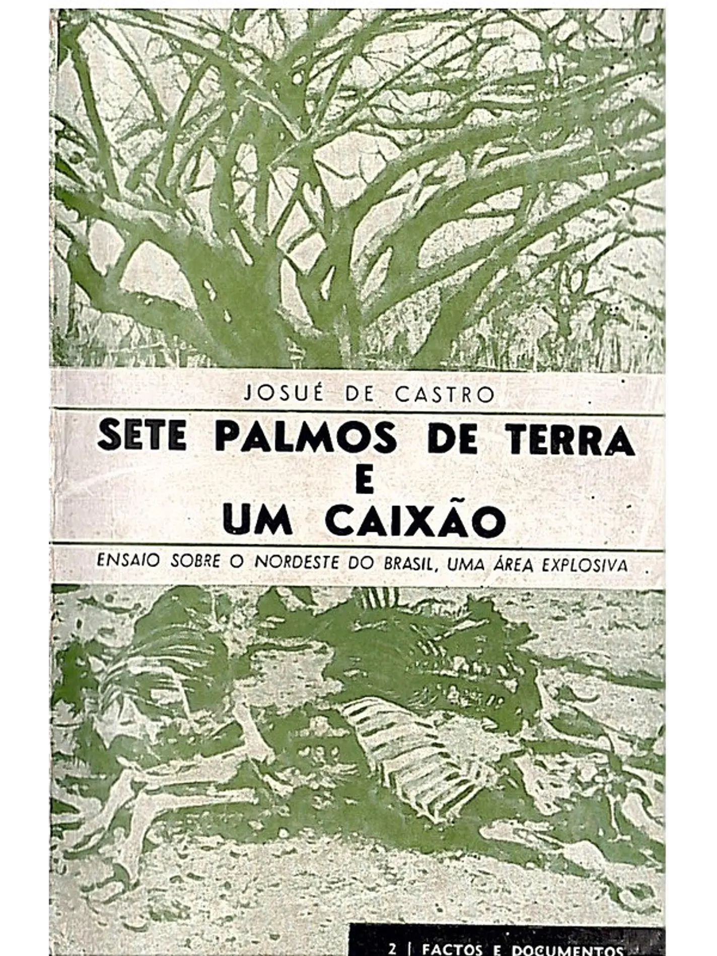 Sete palmos de terra e um caixão 1